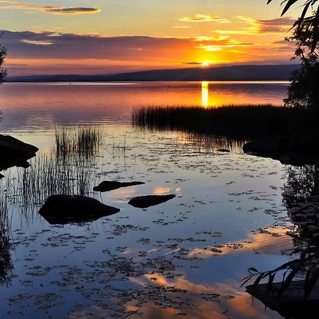 Shannonside - Stylish 5 Bed Marina Home & 40Ft Mooring Termonbarry Екстер'єр фото