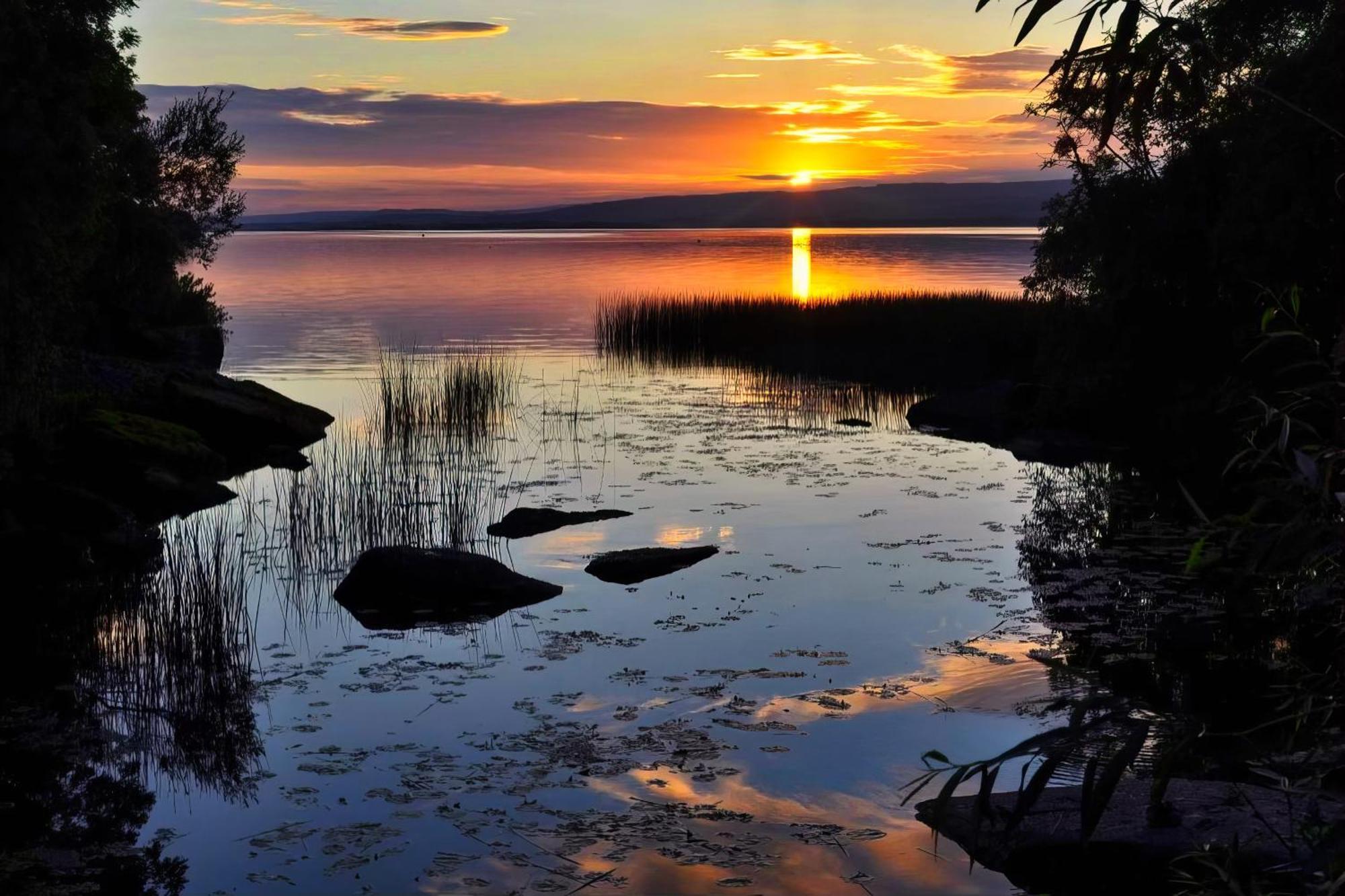 Shannonside - Stylish 5 Bed Marina Home & 40Ft Mooring Termonbarry Екстер'єр фото